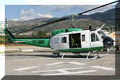 Bell 205 Iroquois (UH-1H), click to open in large format