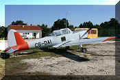 OGMA DHC-1 Chipmunk, click to open in large format
