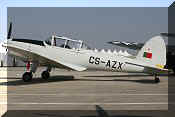 OGMA DHC-1 Chipmunk, click to open in large format