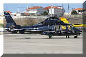 Eurocopter AS-365N-2 Dauphin 2, click to open in large format