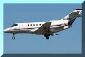 Raytheon Hawker 800XPi, click to open in large format