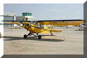 Piper PA-18 Super Cub (PA-18-135), click to open in large format