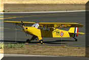 Piper L-18C-PI Super Cub (PA-18-90), click to open in large format