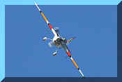 Zivko Edge 540 V3, click to open in large format