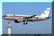 A319-111, click to open in large format