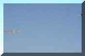 Cessna 150, click to open in large format