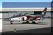 Dassault/Dornier Alpha-Jet A, click to open in large format