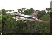 F-16AM Fighting Falcon, click to open in large format
