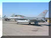 F-16B Denmark AF, click to open in large format