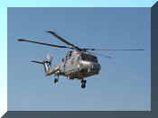 Westland Super Navy Lynx Mk95, click to open in large format