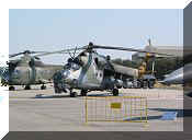 Mil Mi-24V Hind E - Czeck AF, click to open in large format