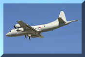 Lockheed P-3C Cup Orion, click to open in large format