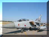 Panavia Tornado F-3 ADV Italian AF, click to open in large format
