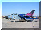 Panavia Tornado IDS Italian AF, click to open in large format