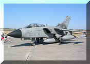 Panavia Tornado ECR Italian AF, click to open in large format