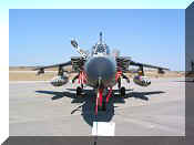 Panavia Tornado IDS Luftwaffe, click to open in large format