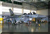 F-16B Fighting Falcon, click to open in large format