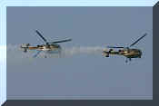 Sud-Aviation SE3160 Alouette III, click to open in large format