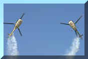 Sud-Aviation SE3160 Alouette III, click to open in large format