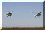 Sud-Aviation SE3160 Alouette III, click to open in large format