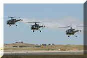 Sud-Aviation SE3160 Alouette III, click to open in large format