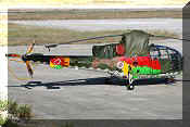 Sud-Aviation SE3160 Alouette III, click to open in large format