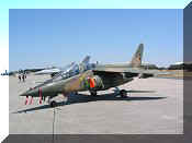 Dassault/Dornier Alpha-Jet FAP, click to open in large format