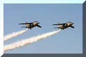 Dassault/Dornier Alpha-Jet A, click to open in large format