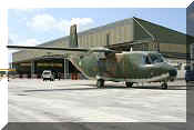 CASA C-212-100 Aviocar, click to open in large format