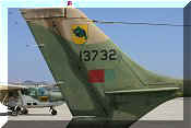 Cessna FTB-337G Skymaster, click to open in large format