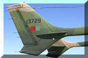 Cessna FTB-337G Skymaster, click to open in large format
