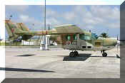 Cessna FTB-337G Skymaster, click to open in large format