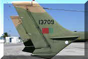 Cessna FTB-337G Skymaster, click to open in large format