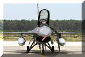 F-16AM Fighting Falcon, click to open in large format