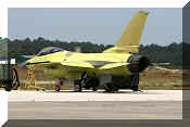 F-16AM Fighting Falcon, click to open in large format
