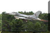 F-16AM Fighting Falcon, click to open in large format