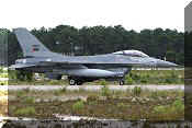 F-16AM Fighting Falcon, click to open in large format