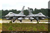 F-16AM Fighting Falcon, click to open in large format
