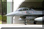F-16BM Fighting Falcon, click to open in large format