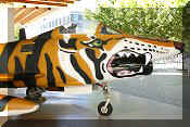 Fiat G.91 R/3 Tiger Meet, click to open in large format