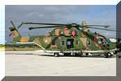 EH-101 Merlin, click to open in large format