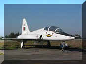Northrop T-38A Talon, click to open in large format