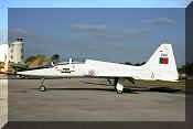 Northrop T-38A Talon, click to open in large format